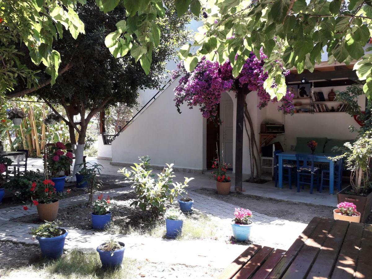 Paradise Gümüşlük Exterior foto