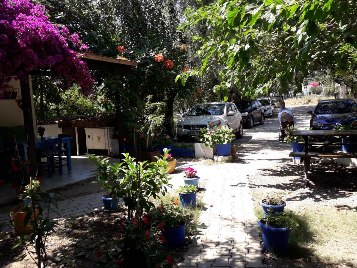 Paradise Gümüşlük Exterior foto